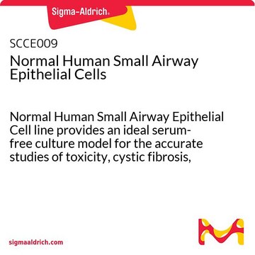 Normalne ludzkie komórki nabłonkowe małych dróg oddechowych Normal Human Small Airway Epithelial Cell line provides an ideal serum-free culture model for the accurate studies of toxicity, cystic fibrosis, asthma, pathogenesis, pharmacology or airway wound healing.