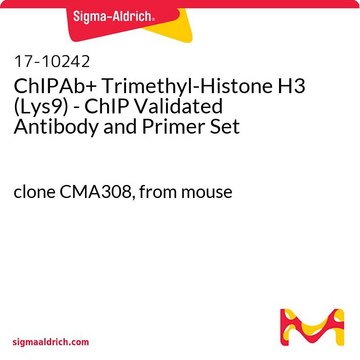 ChIPAb+ トリメチル-ヒストンH3（Lys9）-ChIP検証済み抗体およびプライマーセット clone CMA308, from mouse