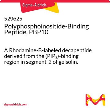 Polyphosphoinositide-Binding Peptide, PBP10 A Rhodamine-B-labeled decapeptide derived from the (PIP&#8322;)-binding region in segment-2 of gelsolin.