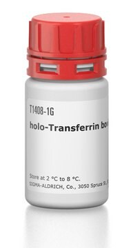 holo-Transferrin bovine