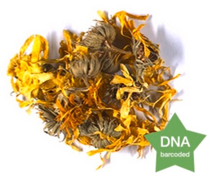 Calendula officinalis Flower Botanical reference material