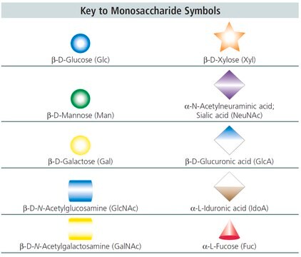 A1F Glycan ammonium salt from Porcine