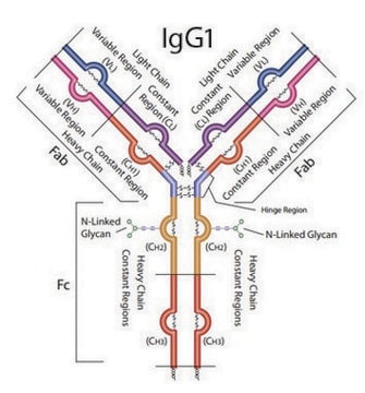 SILu&#8482;Lite SigmaMAb Universal Antibody Standard human