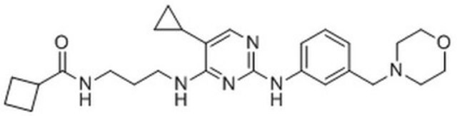 Inhibitor IKKε/TBK1 II, MRT67307