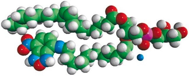 18:1-12:0 NBD PG Avanti Research&#8482; - A Croda Brand 810166P, powder