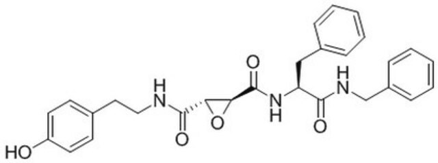 Cathepsin&nbsp;L-Inhibitor, CAA0225