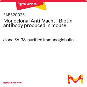 Monoclonal Anti-Vacht - Biotin antibody produced in mouse clone S6-38, purified immunoglobulin