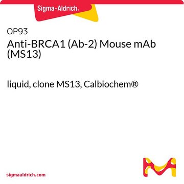 Anti-BRCA1 (Ab-2) Mouse mAb (MS13) liquid, clone MS13, Calbiochem&#174;