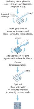 EZBlue&#8482; Gel Staining Reagent