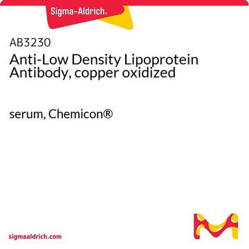 Anti-Low-Density Lipoprotein-Antikörper, kupferoxidiert serum, Chemicon&#174;