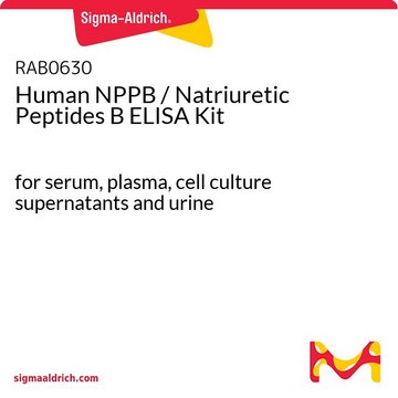 Human NPPB / Natriuretic Peptides B ELISA Kit for serum, plasma, cell culture supernatants and urine