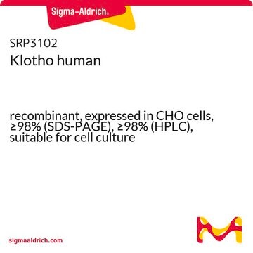 Klotho ヒト recombinant, expressed in CHO cells, &#8805;98% (SDS-PAGE), &#8805;98% (HPLC), suitable for cell culture