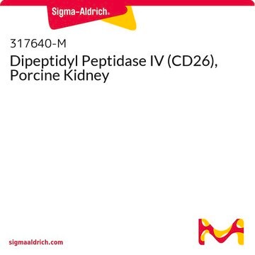 Dipeptidyl-Peptidase IV (CD26), Schweineniere