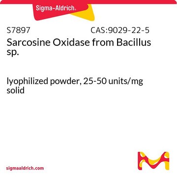 Sarcosine Oxidase from Bacillus sp. lyophilized powder, 25-50&#160;units/mg solid