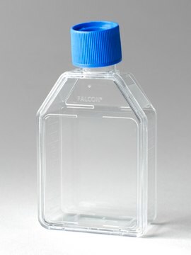 Corning&#174; Falcon&#174; Cell Culture Flask capacity 50&#160;mL, canted neck, graduated, 5 &#8209; 40&#160;mL, cap, blue vented