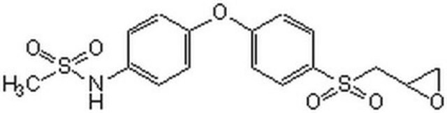 MMP-2 Inhibitor II The MMP-2 Inhibitor II, also referenced under CAS 869577-51-5, controls the biological activity of MMP-2. This small molecule/inhibitor is primarily used for Protease Inhibitors applications.