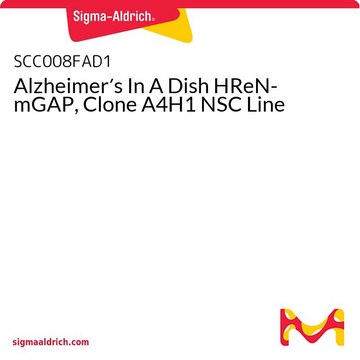 Alzheimer&#8242;s In A Dish HReN-mGAP, Clone A4H1 NSC Line