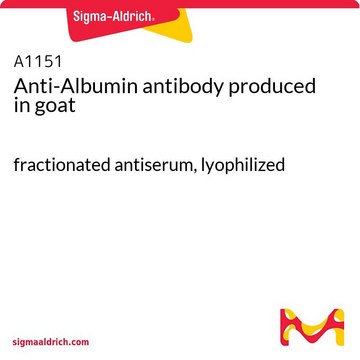 Anti-Albumin antibody produced in goat fractionated antiserum, lyophilized