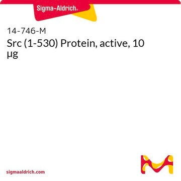 Src (1-530) Protein, active, 10 &#181;g