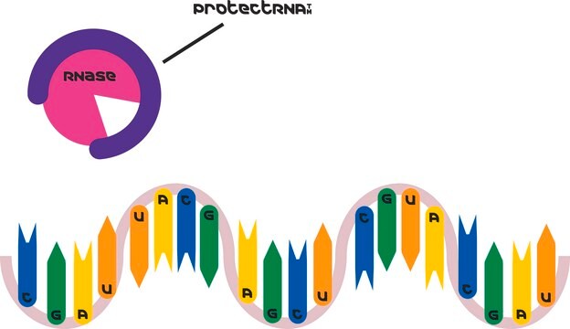 ProtectRNA&#8482; RNase阻害剤 500×濃度 RNase inhibitor for in situ hybridization assays