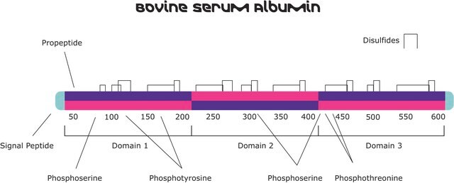 Albumin, Nitrated from bovine serum lyophilized powder