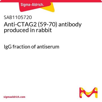 Anti-CTAG2 (59-70) antibody produced in rabbit IgG fraction of antiserum