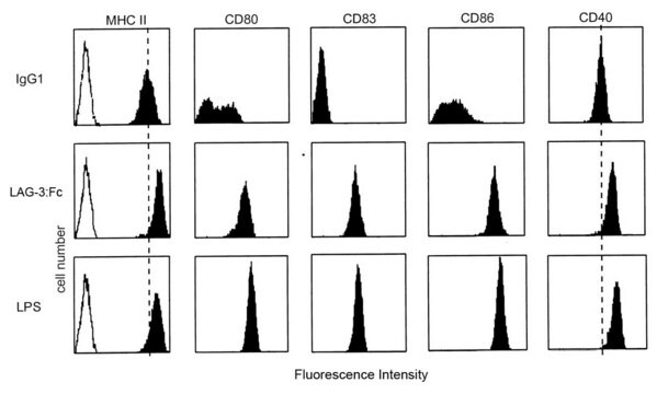 LAG-3 (human): FC (human) recombinant, expressed in CHO cells, &gt;99% (SDS-PAGE)