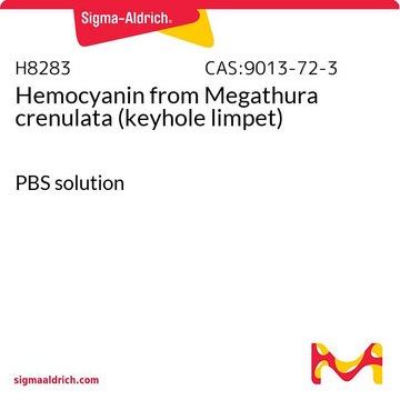 Hämocyanin aus Megathura crenulata (Napfschnecke) PBS solution