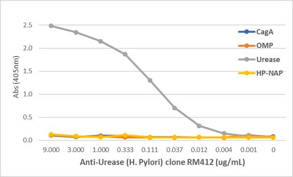 Przeciwciało monoklonalne królicze przeciwko ureazie(Helicobacter Pylori) clone RM412, affinity purified immunoglobulin