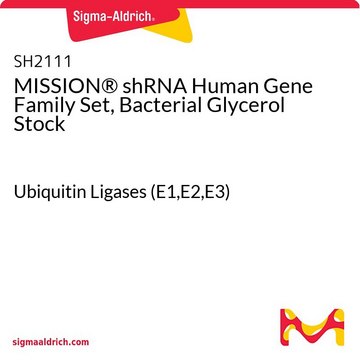 MISSION&#174; shRNA Human Gene Family Set, Bacterial Glycerol Stock Ubiquitin Ligases (E1,E2,E3)