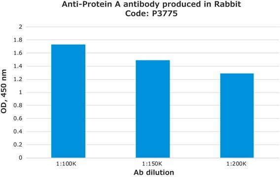 抗蛋白 A 兔抗 fractionated antiserum, lyophilized powder