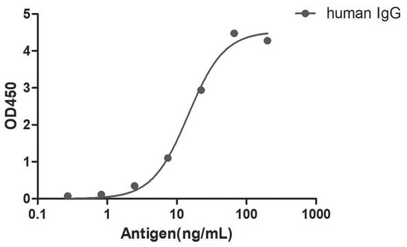 Przeciwciało Alpaca przeciw ludzkiej IgG (Fcγ) HRP z pojedynczą domeną recombinant Alpaca(VHH) Nano antibody