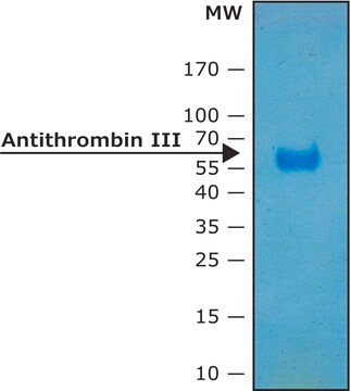 Antithrombin III human recombinant,carrier-free,expressed in HEK 293 cells