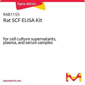 Rat SCF ELISA Kit for cell culture supernatants, plasma, and serum samples