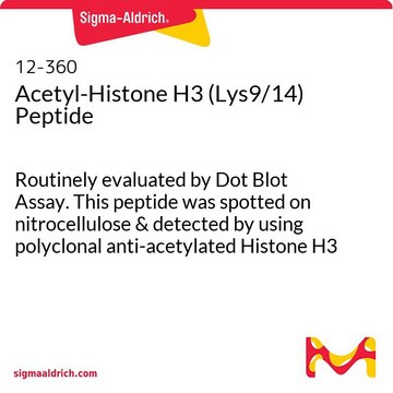 Peptyd acetylo-histonowy H3 (Lys9/14) Routinely evaluated by Dot Blot Assay. This peptide was spotted on nitrocellulose &amp; detected by using polyclonal anti-acetylated Histone H3 (06-599).