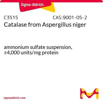 カタラーゼ from Aspergillus niger ammonium sulfate suspension, &#8805;4,000&#160;units/mg protein