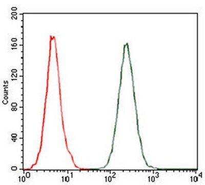 Anticorps anti-CCL2, clone&nbsp;2D8 clone 2D8, from mouse