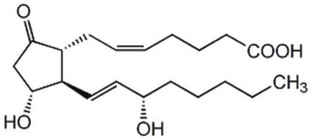 Prostaglandin E2 Involved in vasodilator actions of kinins such as bradykinin.