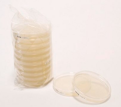 HEIMPLATE R2A Agar chromogenny - LI ready-to-use, 90 mm settle plates, suitable for microbiology