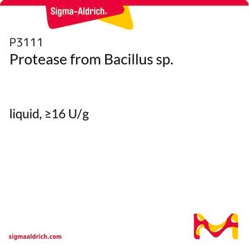 プロテアーゼ Bacillus sp.（バシラス属）由来 liquid, &#8805;16&#160;U/g