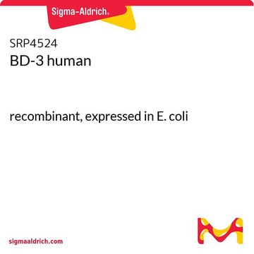 BD-3 ヒト recombinant, expressed in E. coli