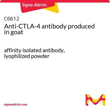 Anti-CTLA-4 antibody produced in goat affinity isolated antibody, lyophilized powder