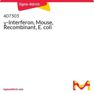 γ-Interferon, mysi, rekombinowany, E . coli