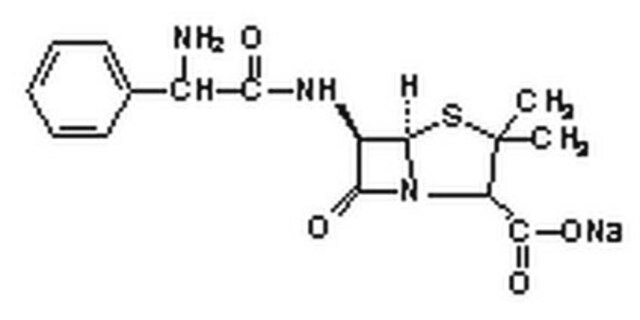 Ampicillin, Natriumsalz Ampicillin salt is an antibiotic that inhibits bacterial cell-wall synthesis. Active against Gram-negative bacteria. Inactivated by lactamases. Suitable for use in research that uses ampicillin-resistant plasmids.