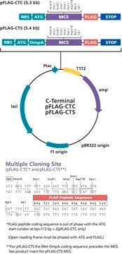 pFLAG-CTC&#8482; Expression Vector Bacterial vector for cytoplasmic expression of C-terminal FLAG fusion proteins