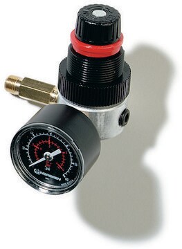 Miniature Regulator with Gauge