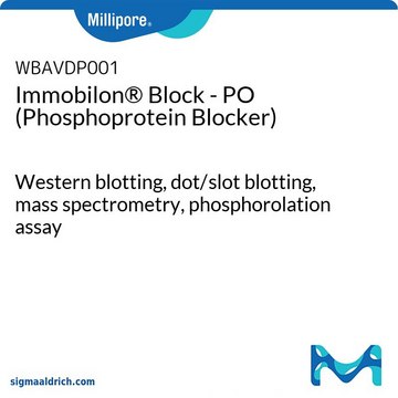 Immobilon&#174; Block - PO (tampone di blocking per fosfoproteine) Western blotting, dot/slot blotting, mass spectrometry, phosphorolation assay