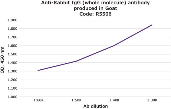 抗-兔免疫球蛋白G（全分子） 山羊抗 IgG fraction of antiserum, buffered aqueous solution