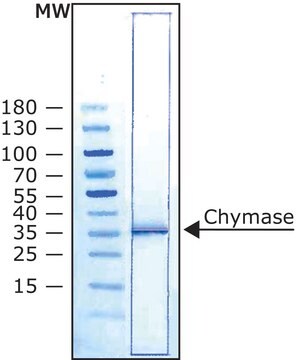 胃促胰酶 人 recombinant, expressed in Pichia pastoris