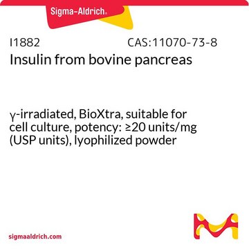 Insulina from bovine pancreas &#947;-irradiated, BioXtra, suitable for cell culture, potency: &#8805;20&#160;units/mg (USP units), lyophilized powder